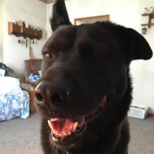 Meet your Posher, Monica